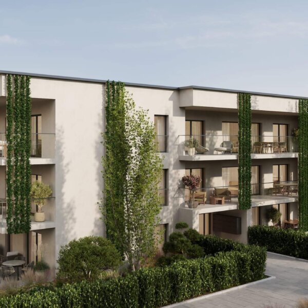 NAEF_SACONNEX D ARVE_Cam 01-min